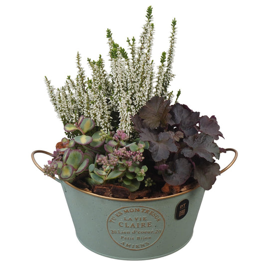 Outdoor arrangement 31cm 20cm Pot