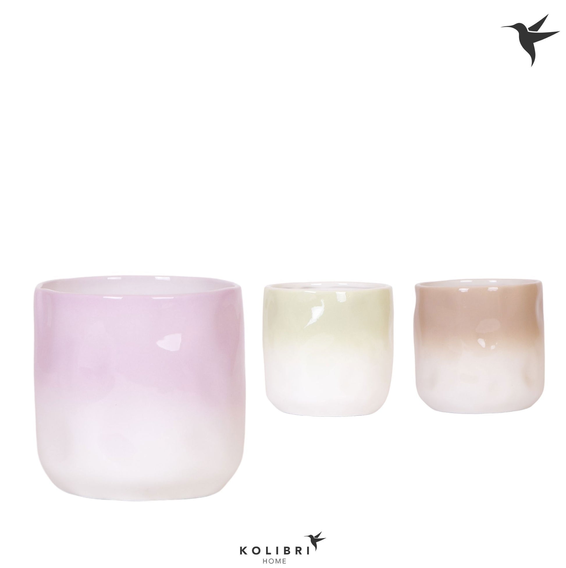 OK Plant Kolibri Home Gradience pot mix Pack of 4