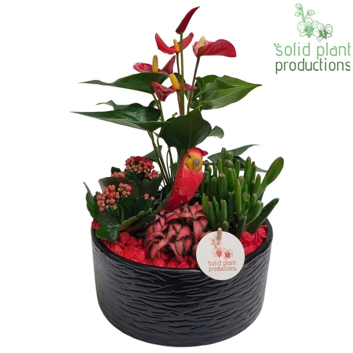 AT004 Stella Black/Red 42cm 22cm Pot