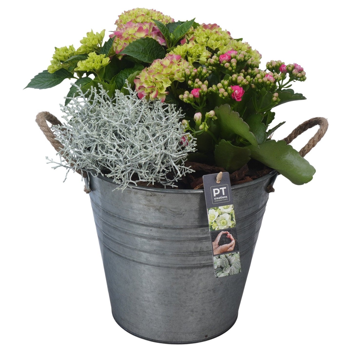 Outdoor arrangement 37cm 24cm Pot