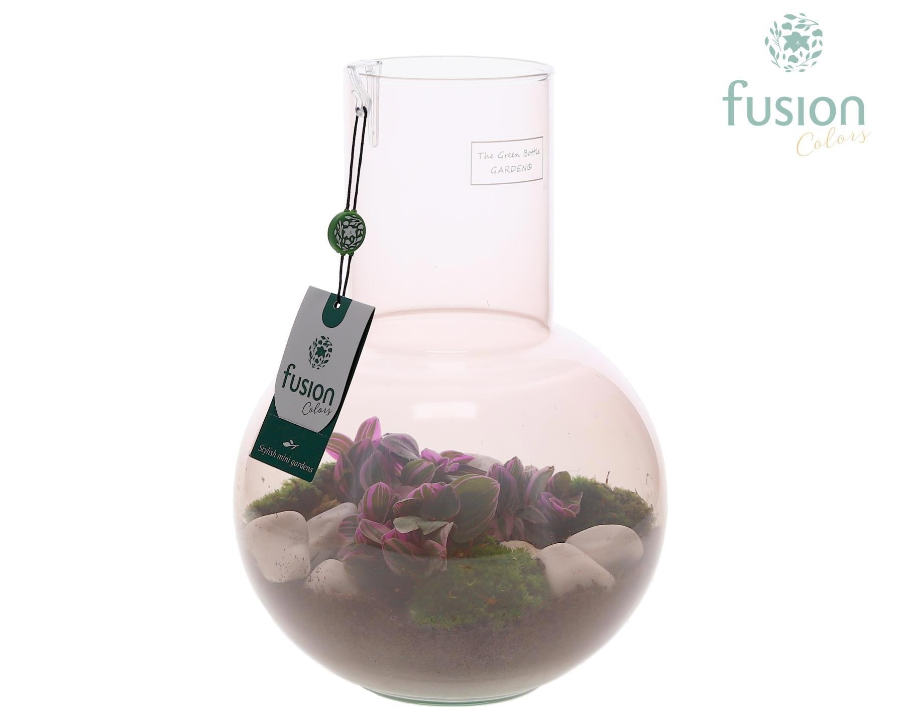 Green Bottle Suzanne Medium Smoky Pink met Tradescantia 29cm 21cm Pot