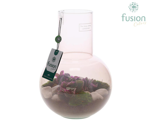 Green Bottle Suzanne Medium Smoky Pink met Tradescantia 29cm 21cm Pot
