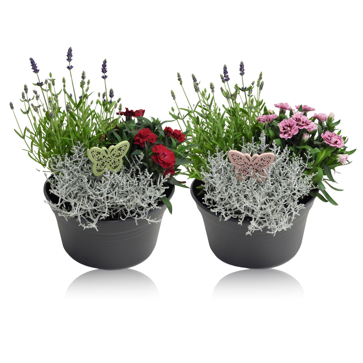 Outdoor arrangement 30cm 19cm Pot