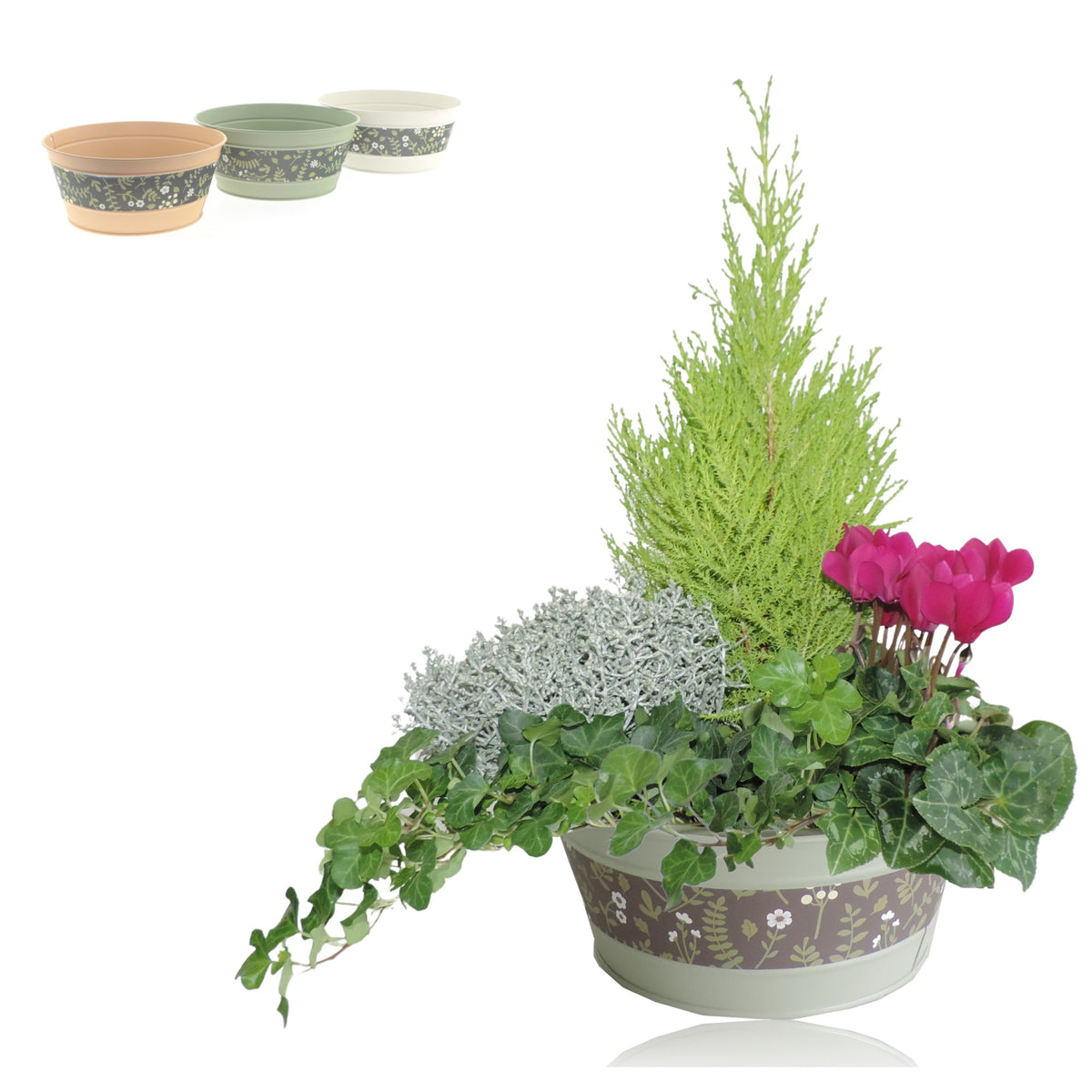 Outdoor arrangement 40cm 21cm Pot
