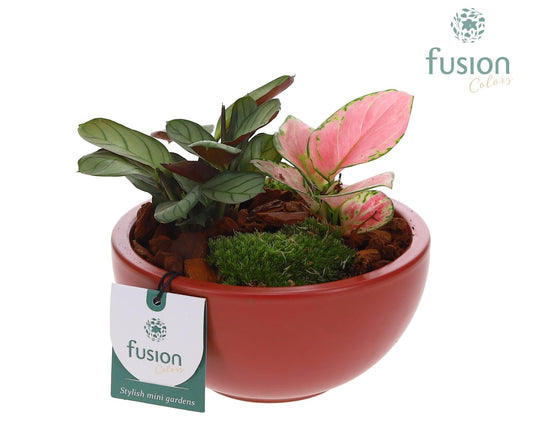 Keramiek moonschaal Small marsala rood met groene planten 20cm 15cm Pot