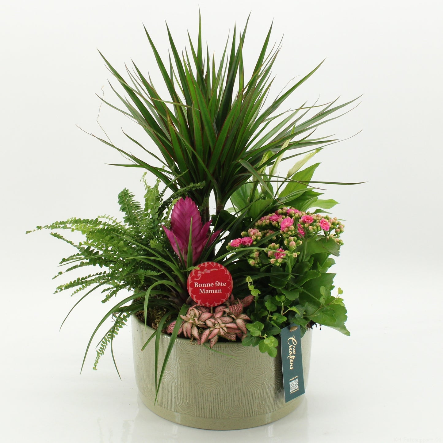 Indoor flowering arrangement 45cm 22cm Pot