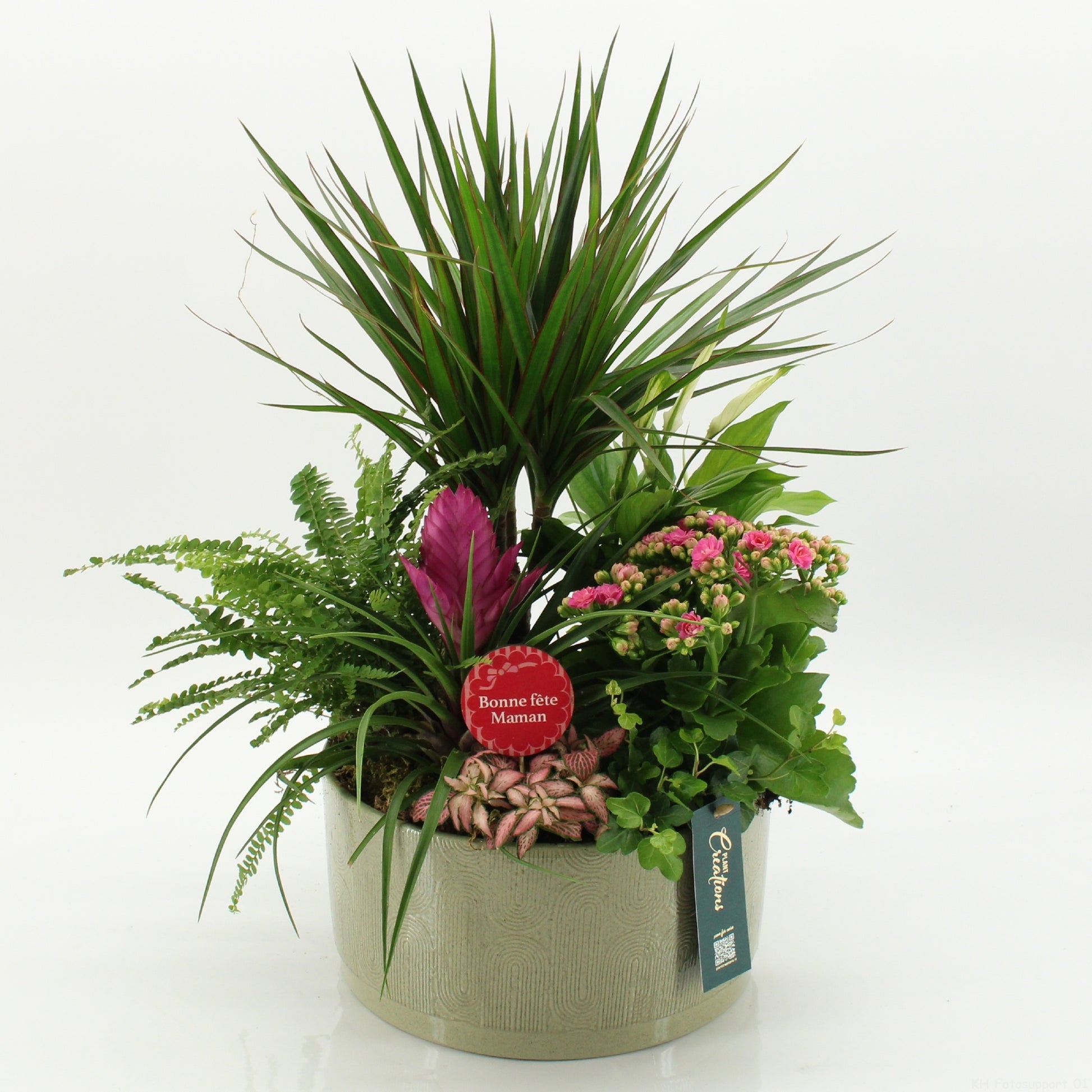 Indoor flowering arrangement 45cm 22cm Pot