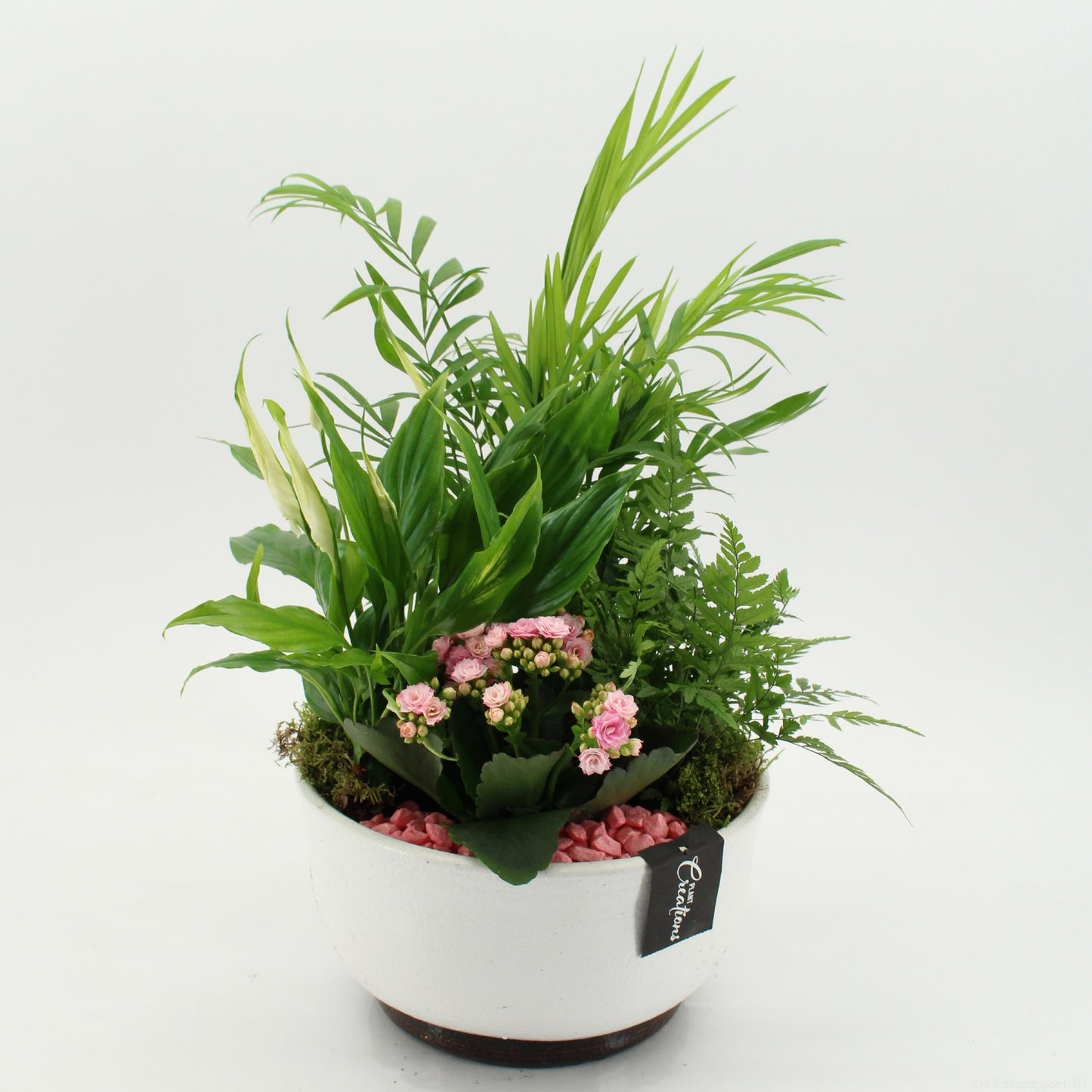 ESCR-2640RZ Essentials 45cm 22cm Pot