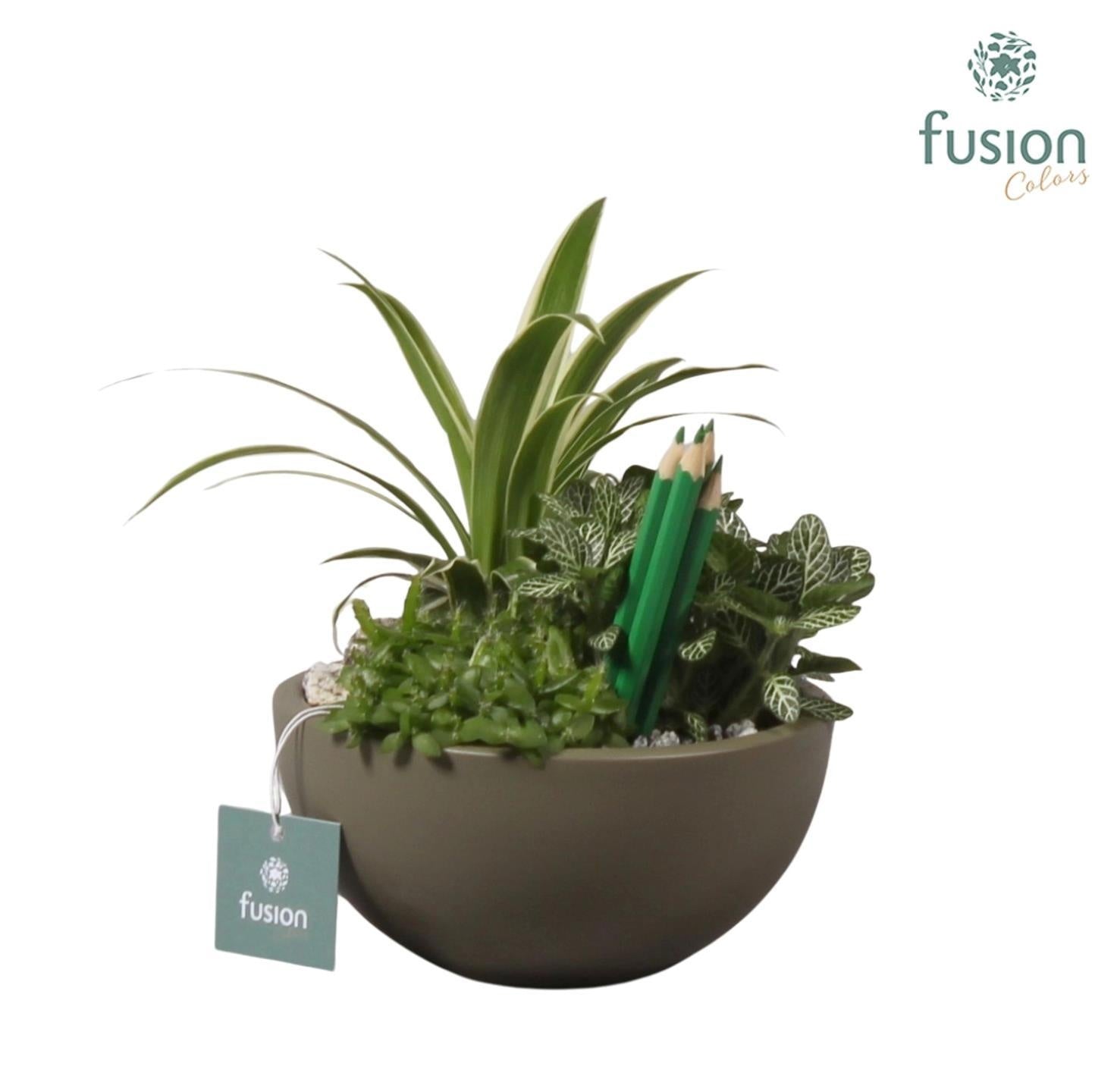 kermamiek moonschaal met 25cm 15cm Pot