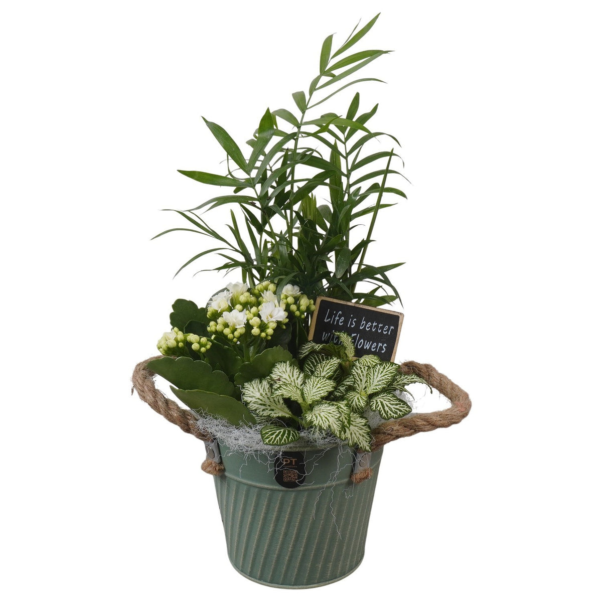Indoor arrangement 31cm 13cm Pot