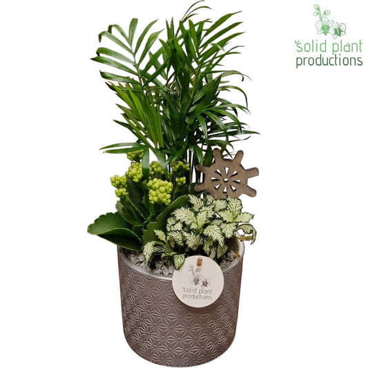 CH001 Amy Steel 35cm 14cm Pot