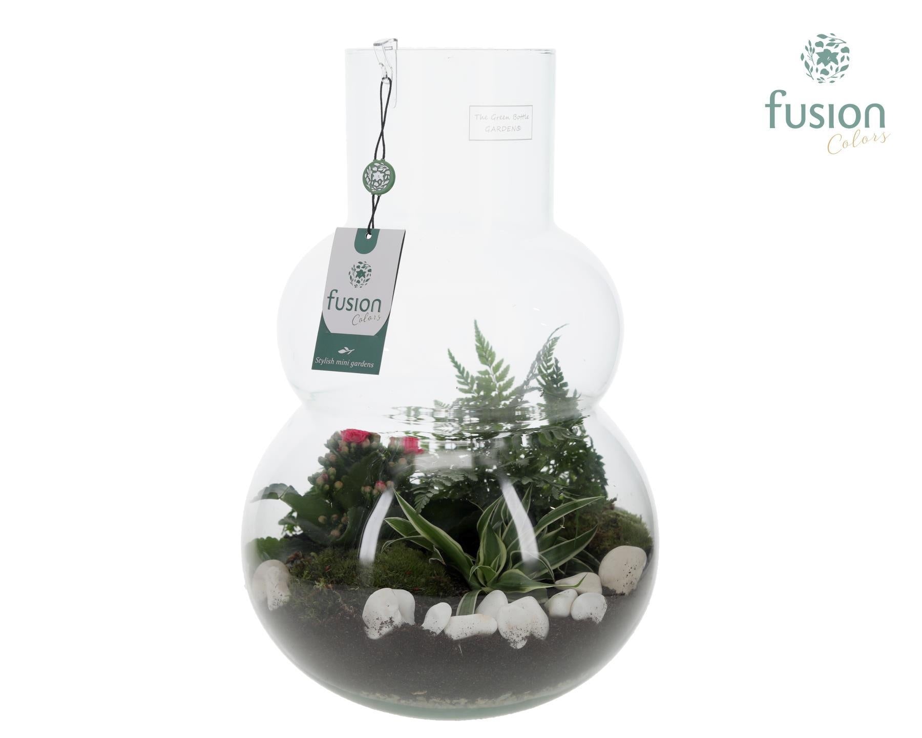 Green Bottle Olaf Large met Arrangementen 43cm 26cm Pot