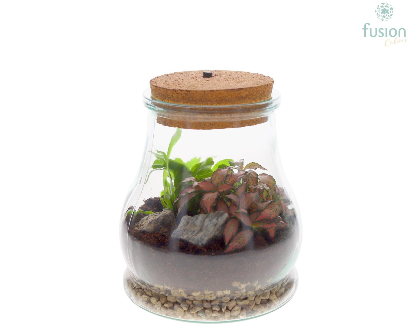 Terrarium Druppel met LED verlichting met arrangement 20cm 15cm Pot