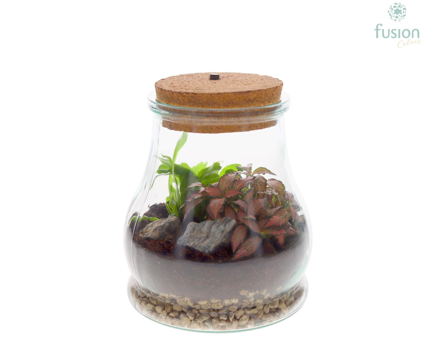 Terrarium Druppel met LED verlichting met arrangement 20cm 15cm Pot