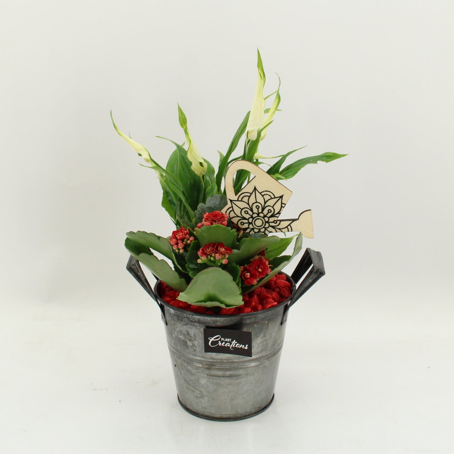 FDCR-2613R Basic Fundamentals 30cm 14cm Pot
