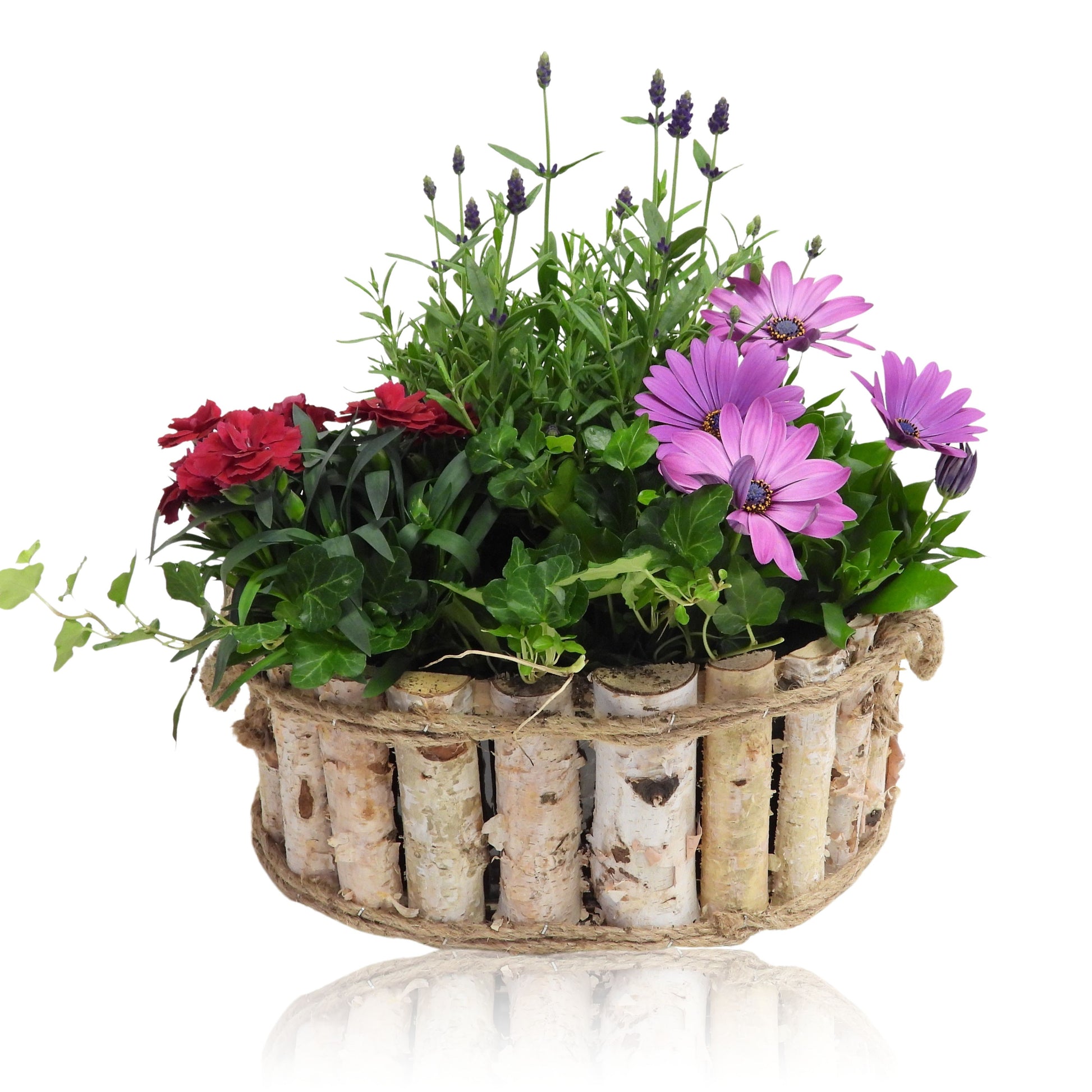 Outdoor arrangement 35cm 28cm Pot