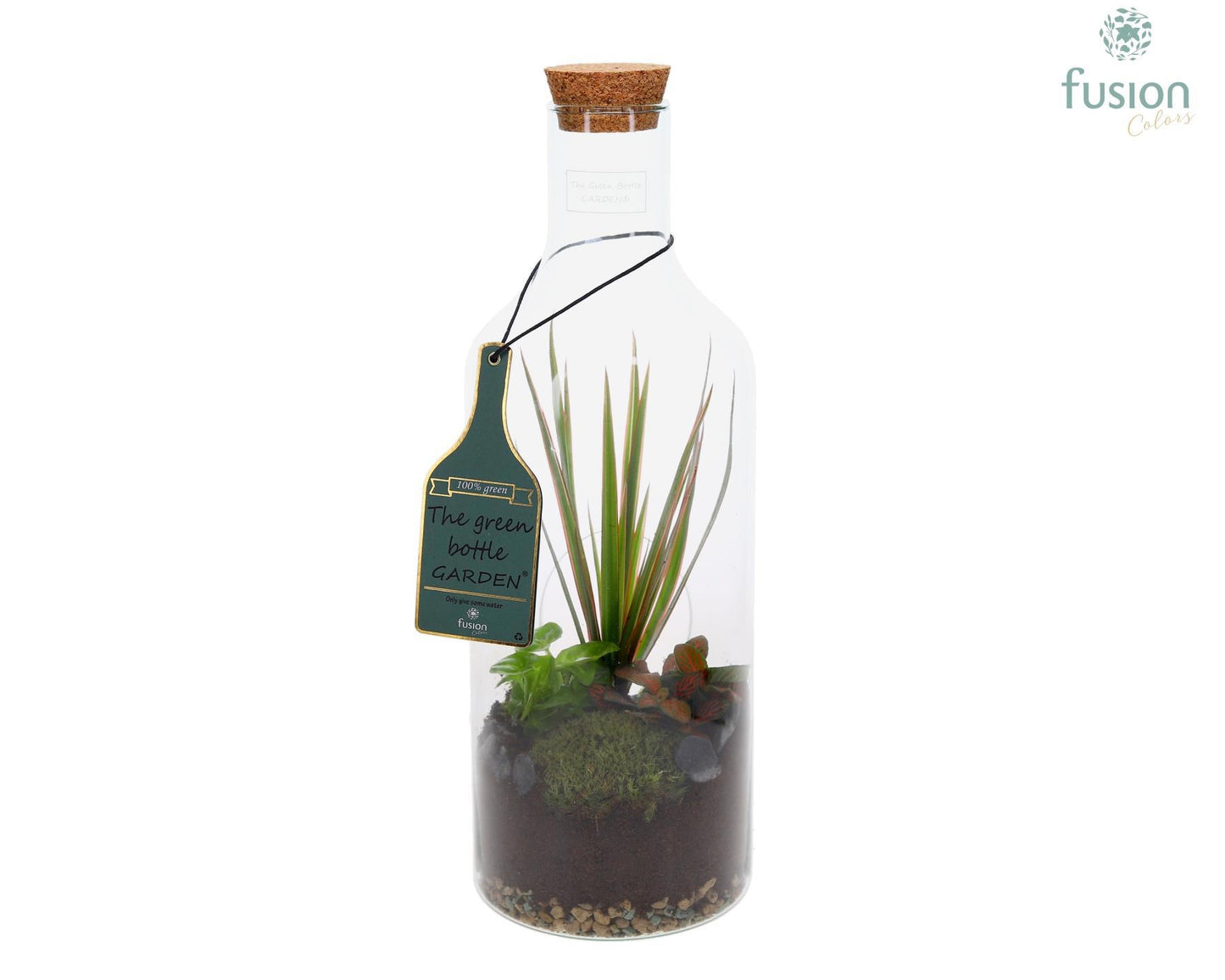 Green Bottle Fles Medium met Groen Planten 43cm 15cm Pot