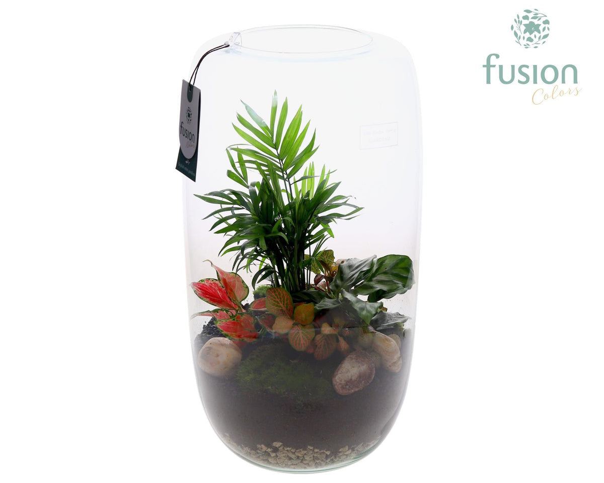 Green Bottle Isabella XXLarge met arrangement 43cm 23cm Pot