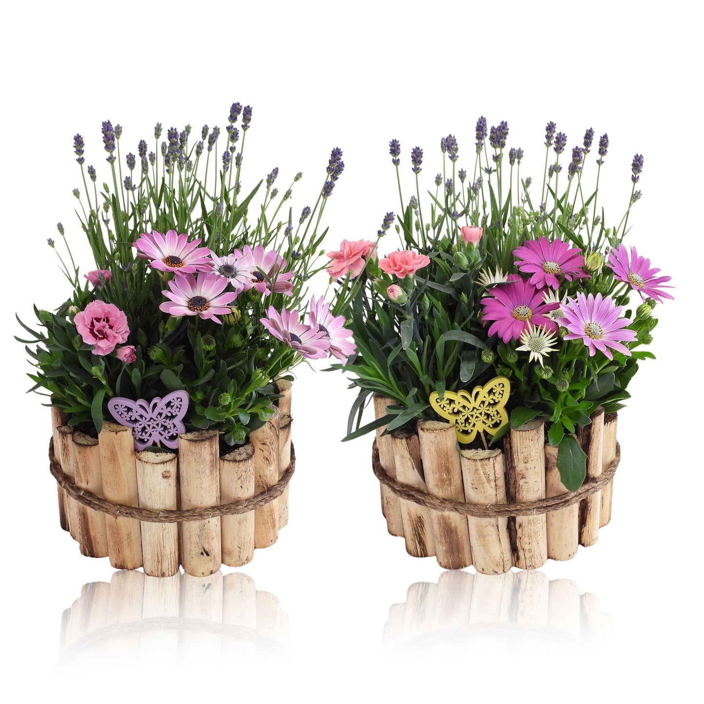Outdoor arrangement 25cm 22cm Pot