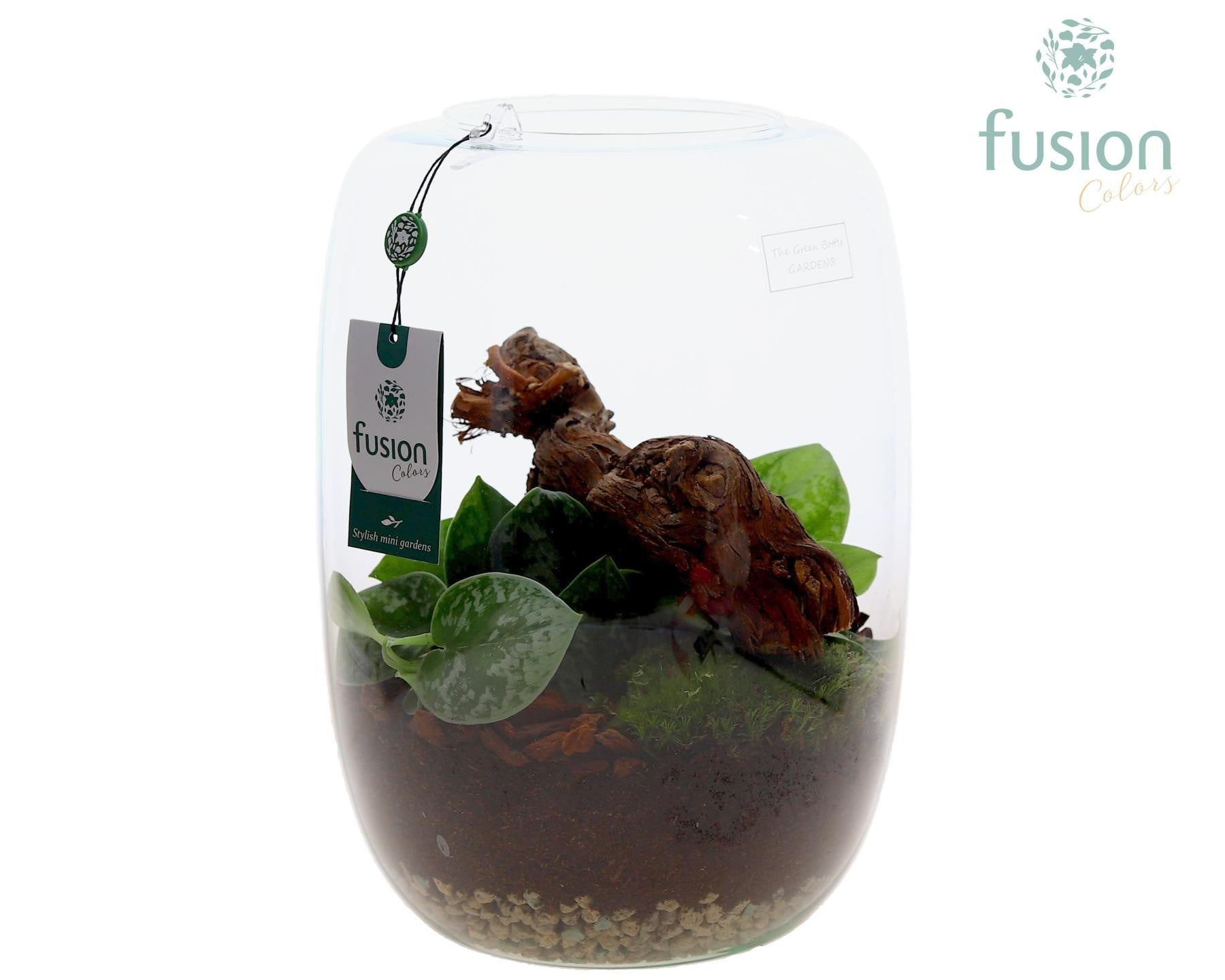 Green Bottle Isabella XLarge met Scindapsus 29cm 23cm Pot