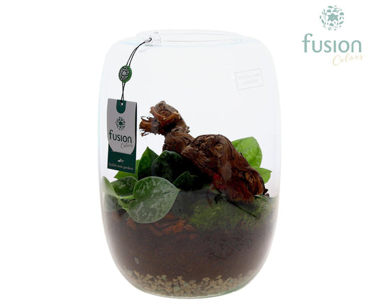 Green Bottle Isabella XLarge met Scindapsus 29cm 23cm Pot