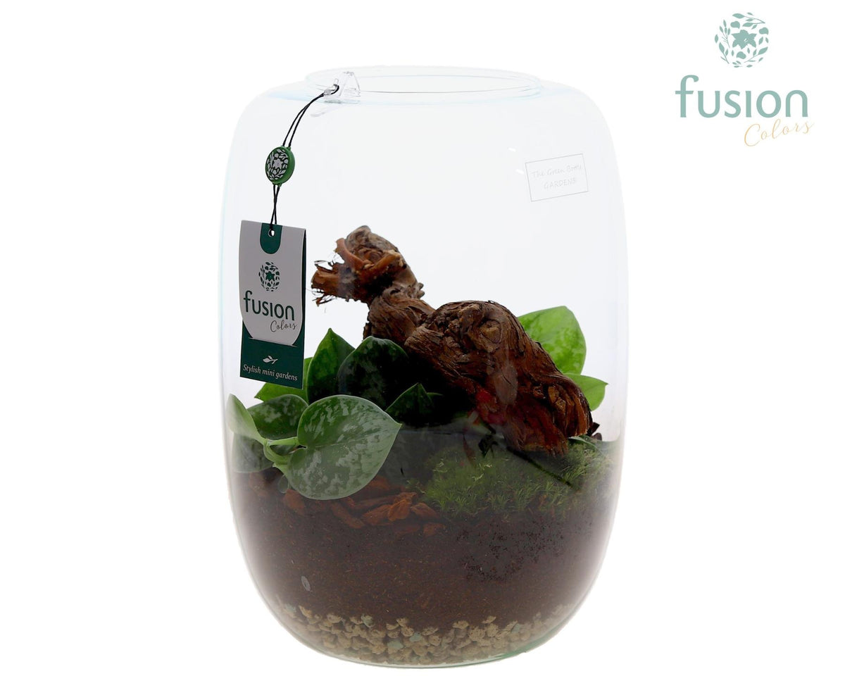 Green Bottle Isabella XLarge met Scindapsus 29cm 23cm Pot