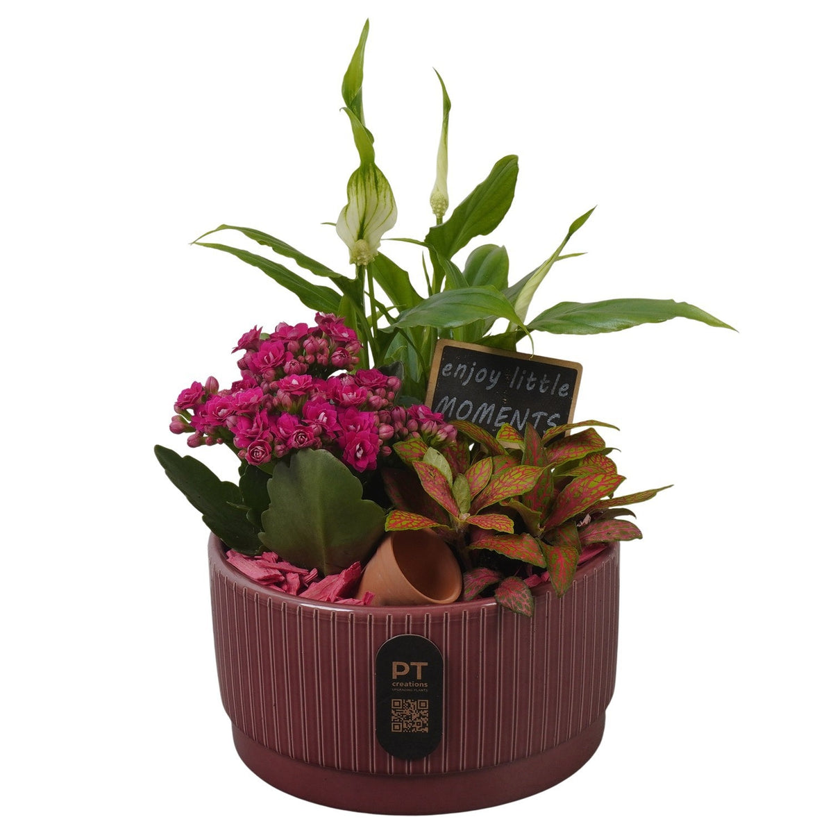 Indoor arrangement 28cm 16cm Pot