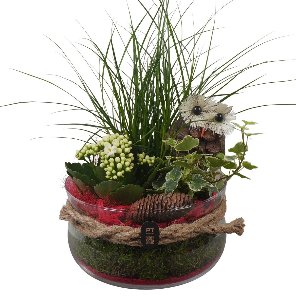Indoor arrangement 32cm 18cm Pot