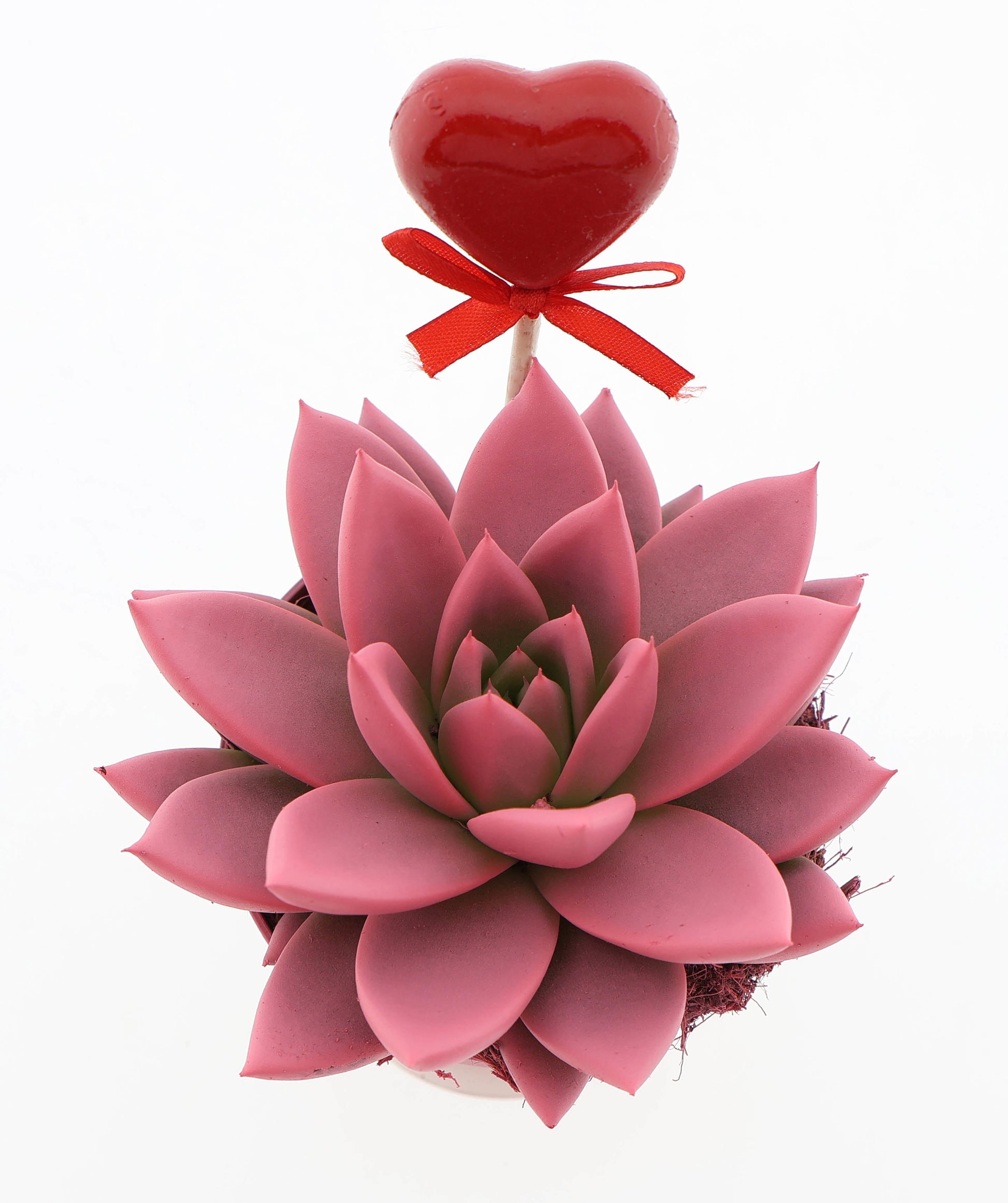 Miranda roze + hartje 10cm 8.5cm Pot