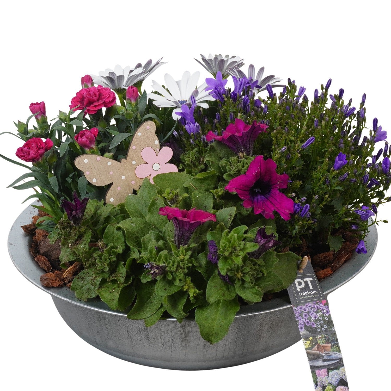 arr. PM196 22cm 33cm Pot