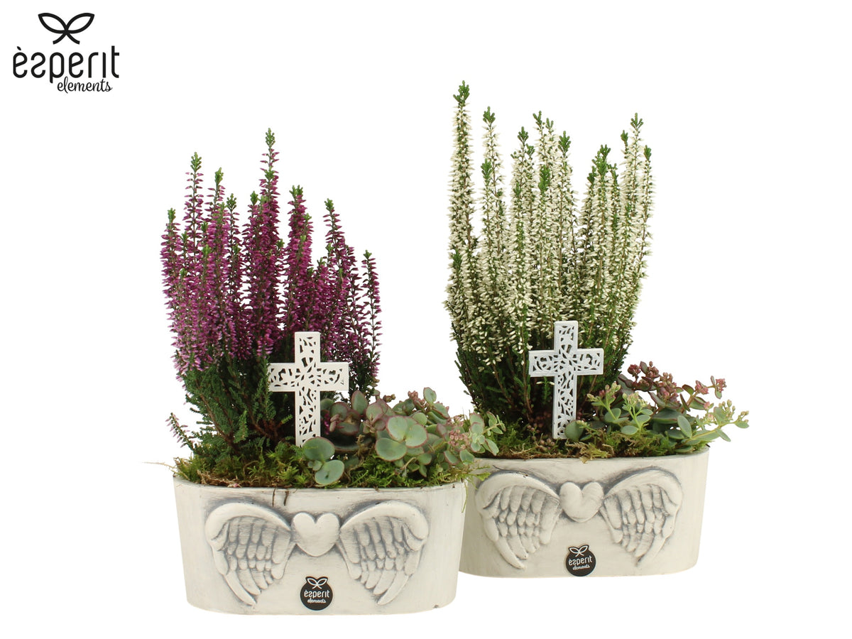 arr. all saints day 32cm 19cm Pot
