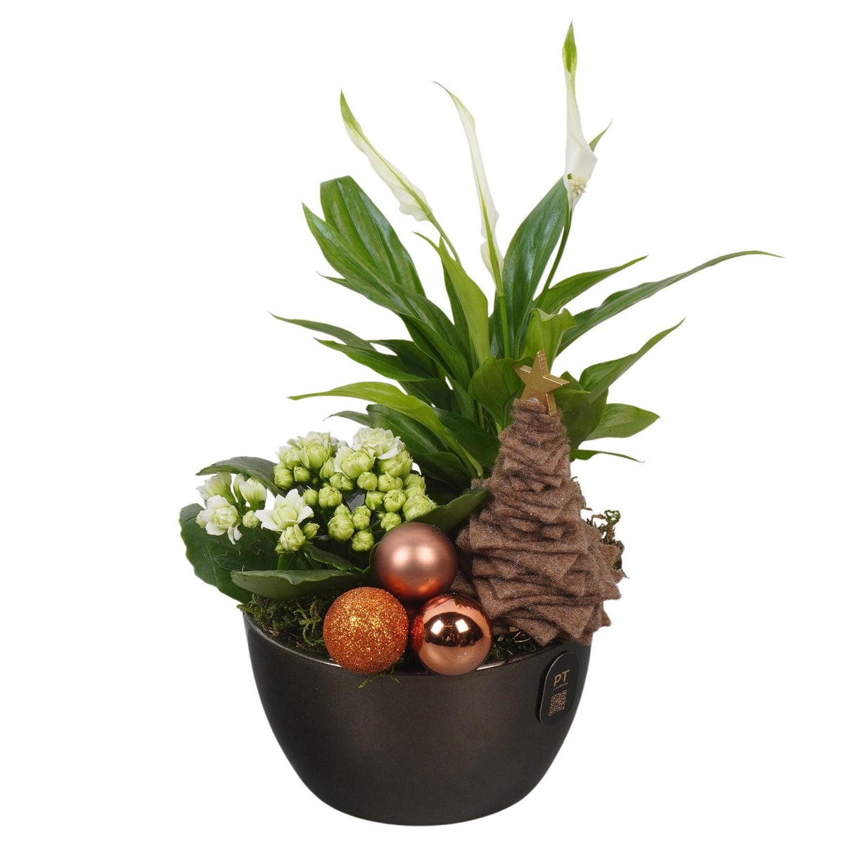 Christmas arrangement 30cm 14cm Pot