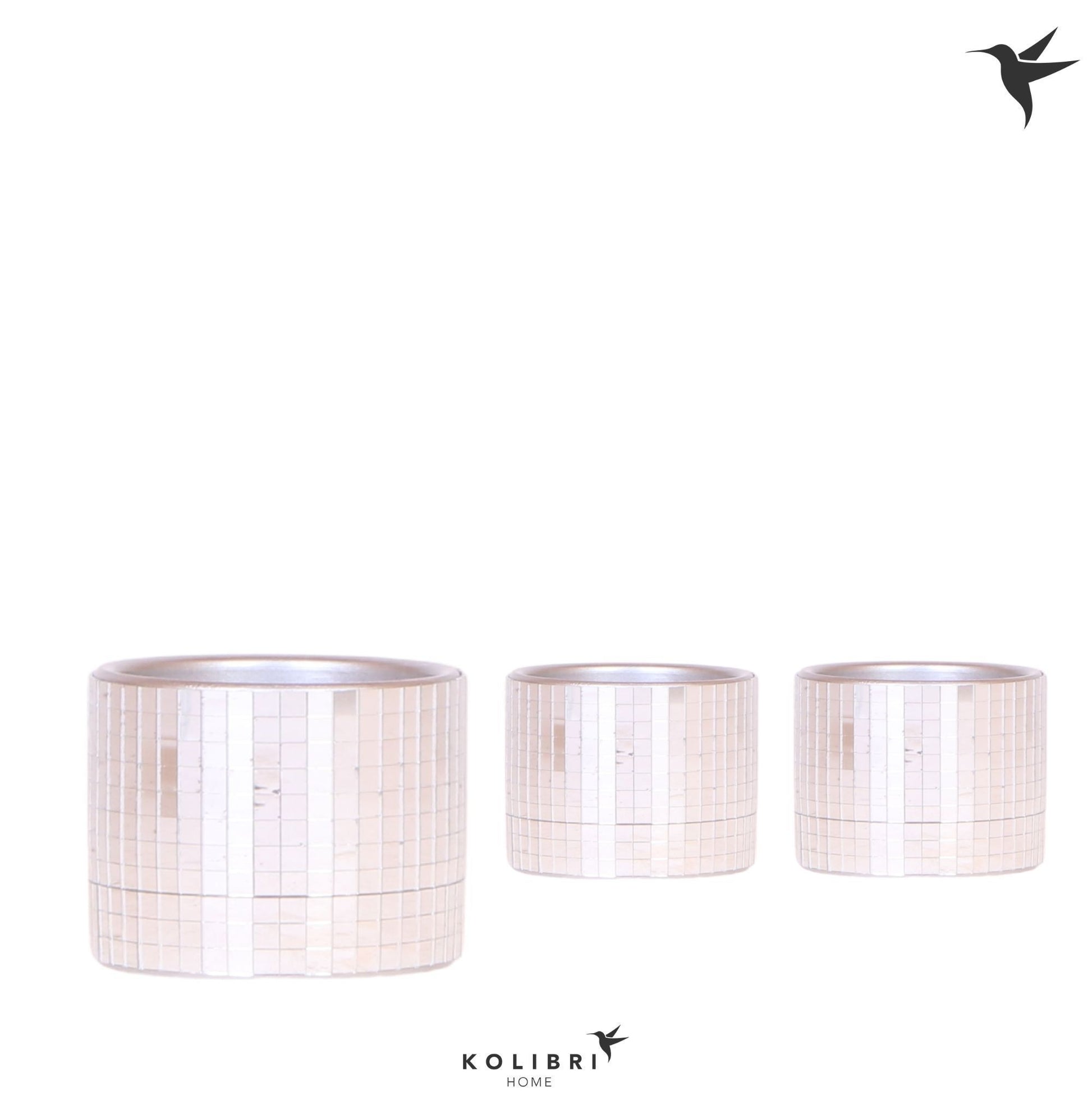 OK Plant Kolibri Home Disco pot Pack of 12