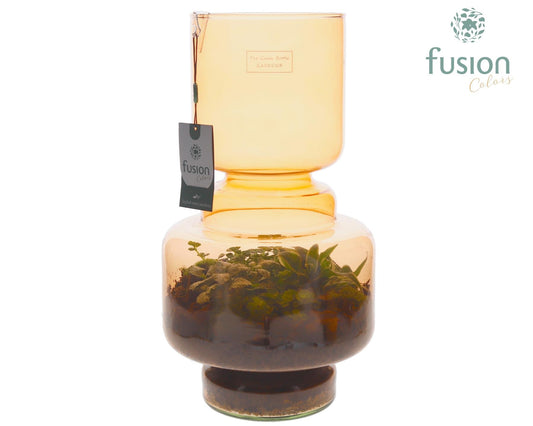 Green Bottle Lotte Large bruin met Terrarium arrangement 43cm 22cm Pot