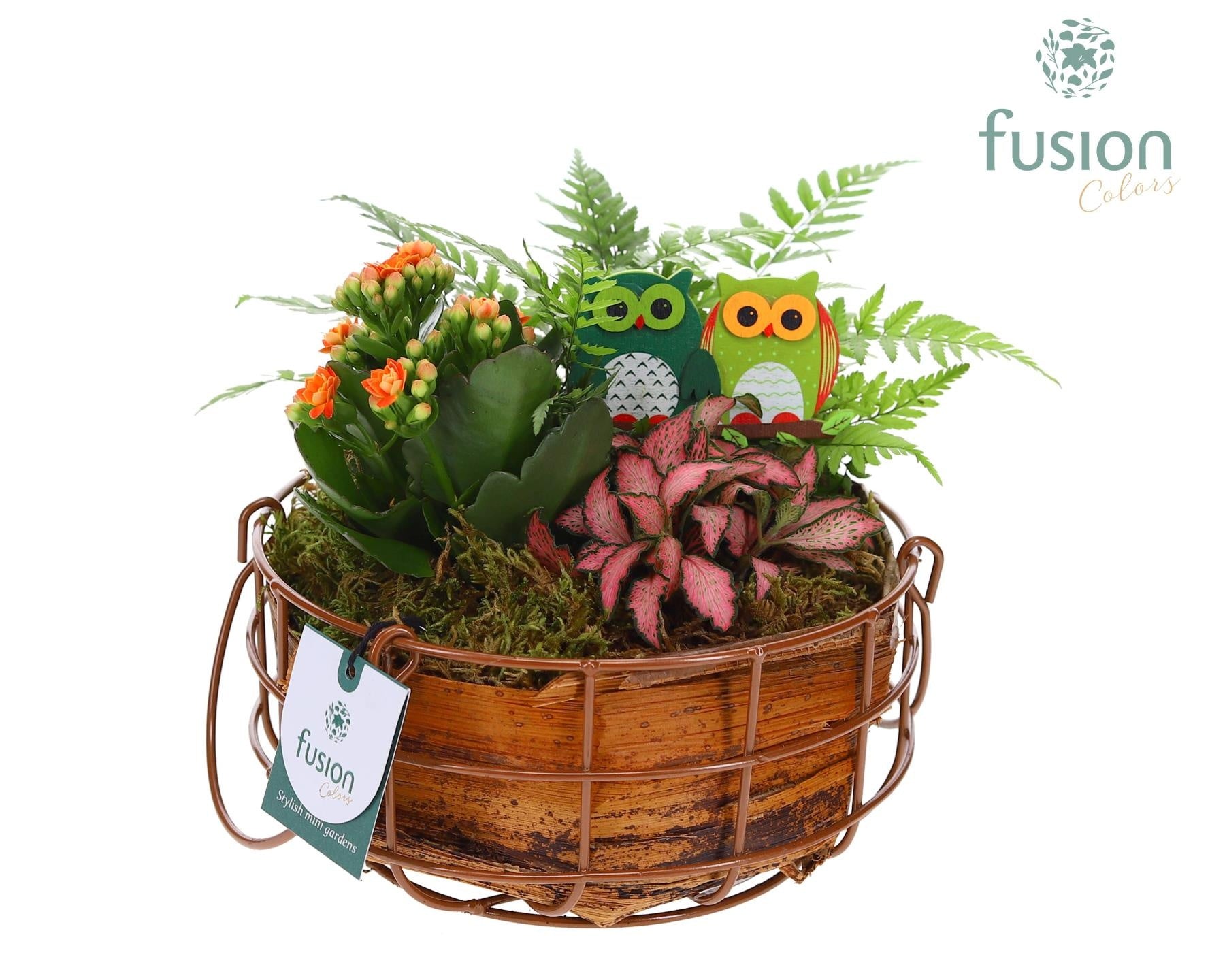 Mand metaal rond Medium Herfst met Arrangement 20cm 19cm Pot