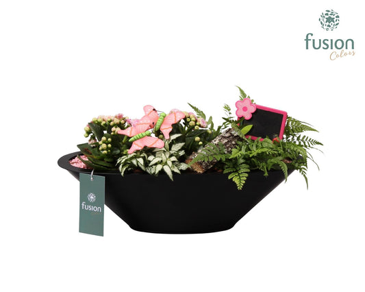 Zinken schaal antraciet met Arrangement 25cm 36cm Pot