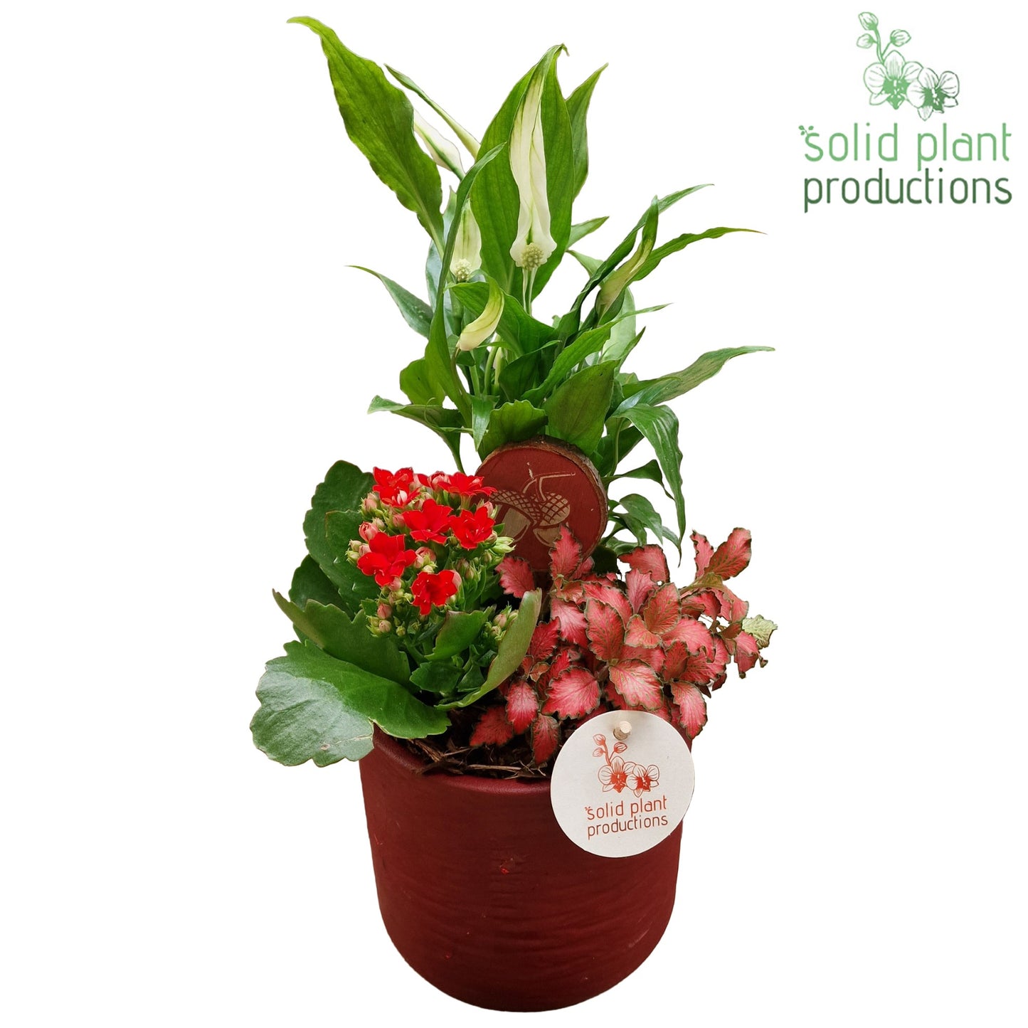 SP001 Amy Red 35cm 13cm Pot