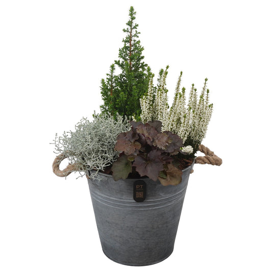 Outdoor arrangement 53cm 24cm Pot