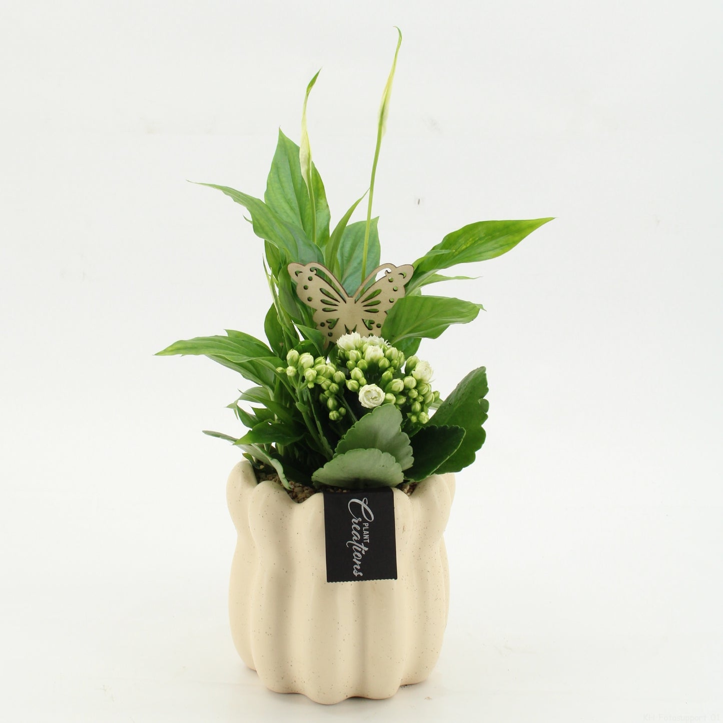 ESCR-2613W Essentials 35cm 14cm Pot