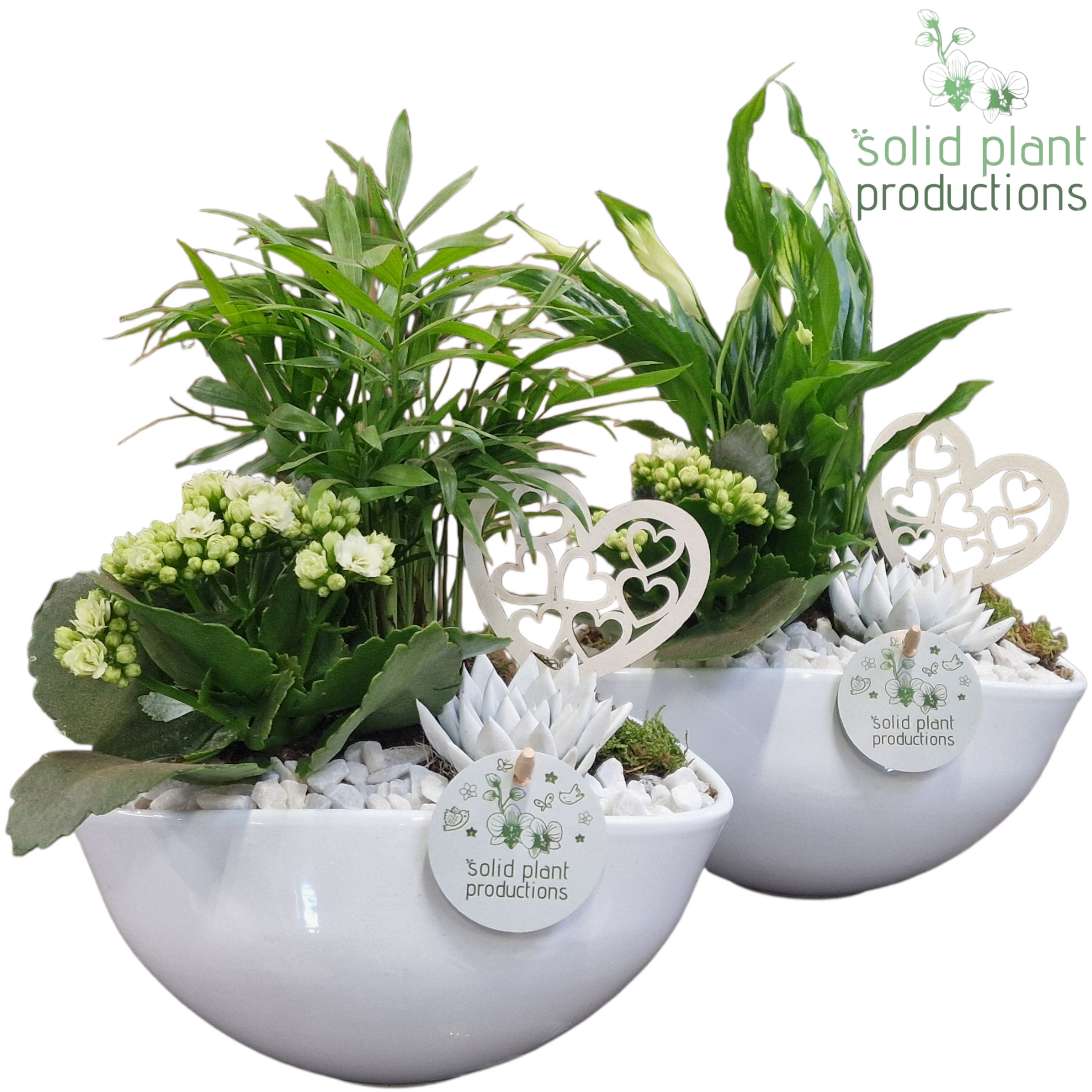 SCE005 Evelyn White Mix VM 35cm 22cm Pot