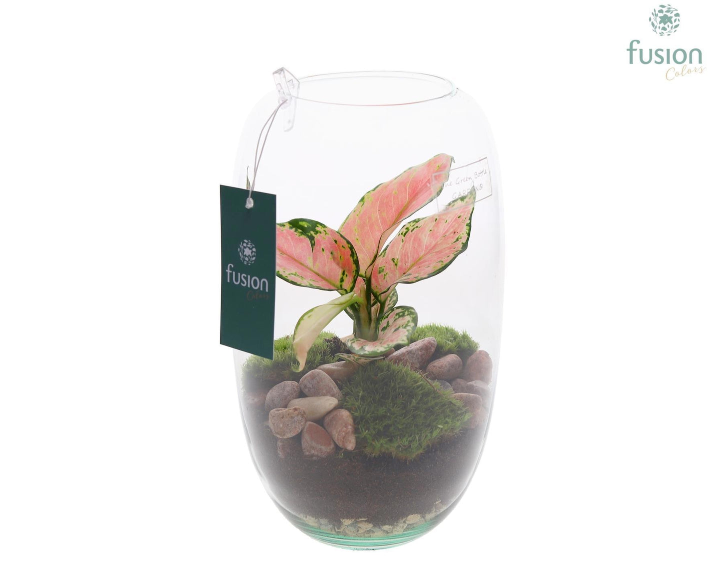 arr. Outdoor FC-22.1215 25cm 15cm Pot