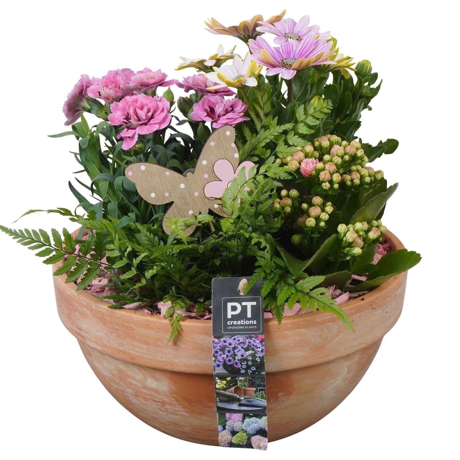 Outdoor arrangement 27cm 23cm Pot