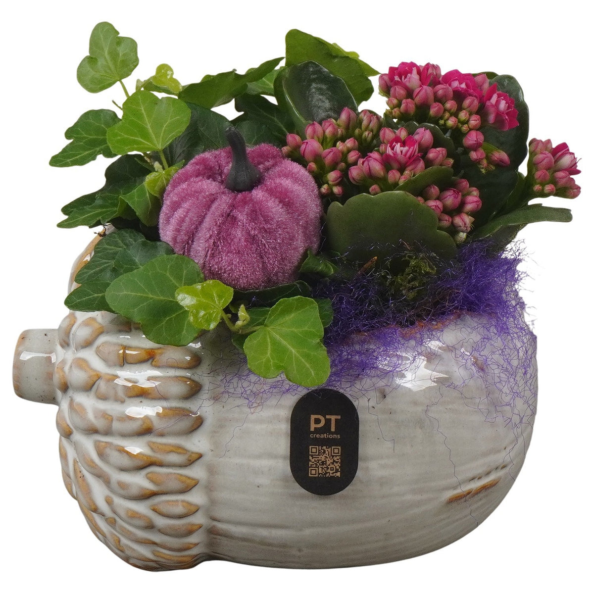 Indoor arrangement 16cm 15cm Pot