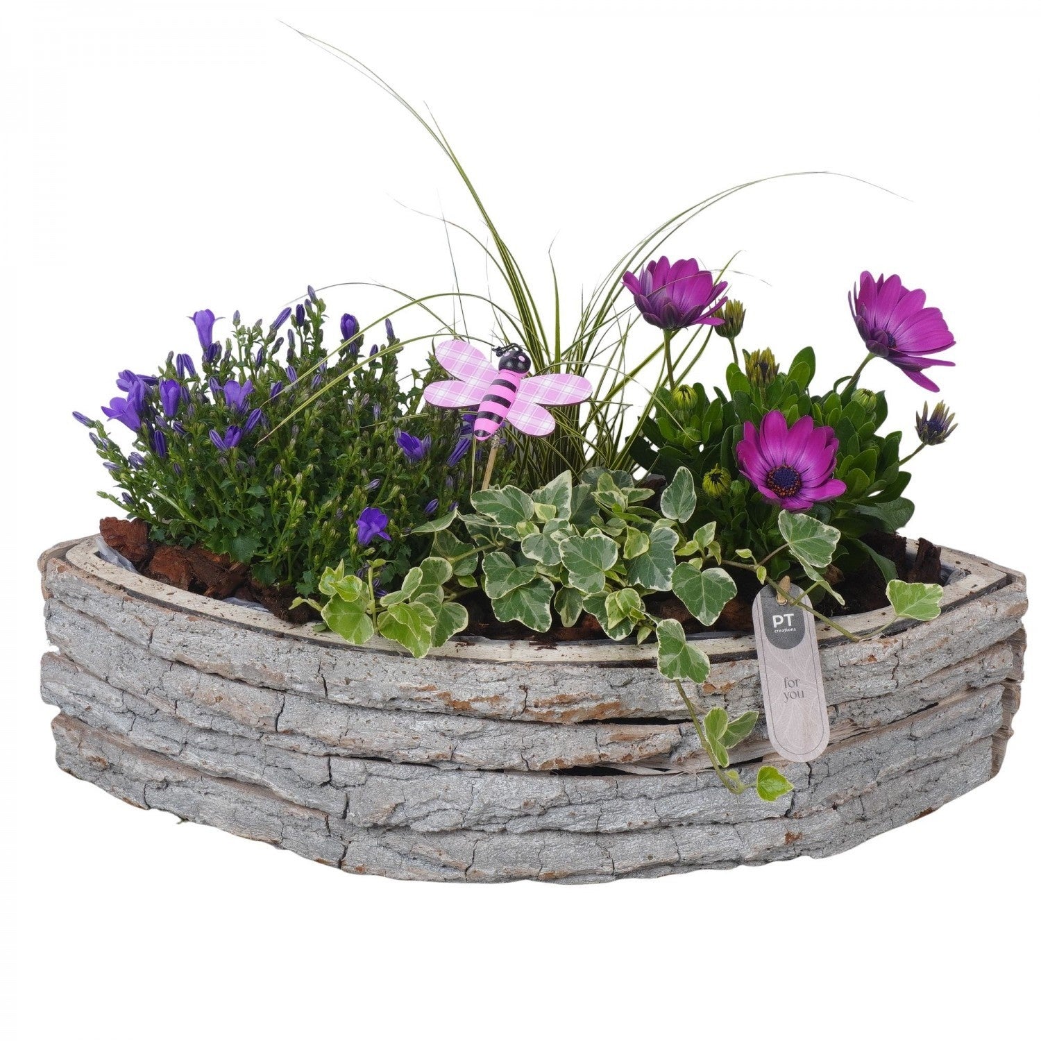 arr. PM196 28cm 46cm Pot