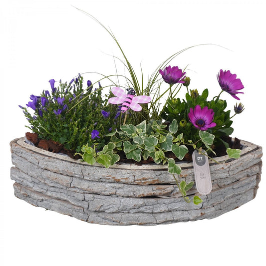 arr. PM196 28cm 46cm Pot