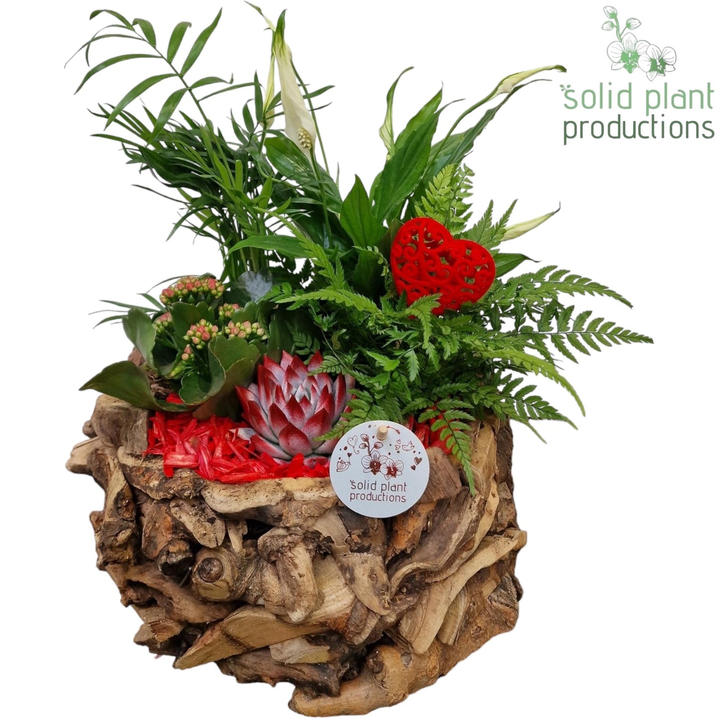 SCE013 Driftwood Round Red Love 45cm 31cm Pot