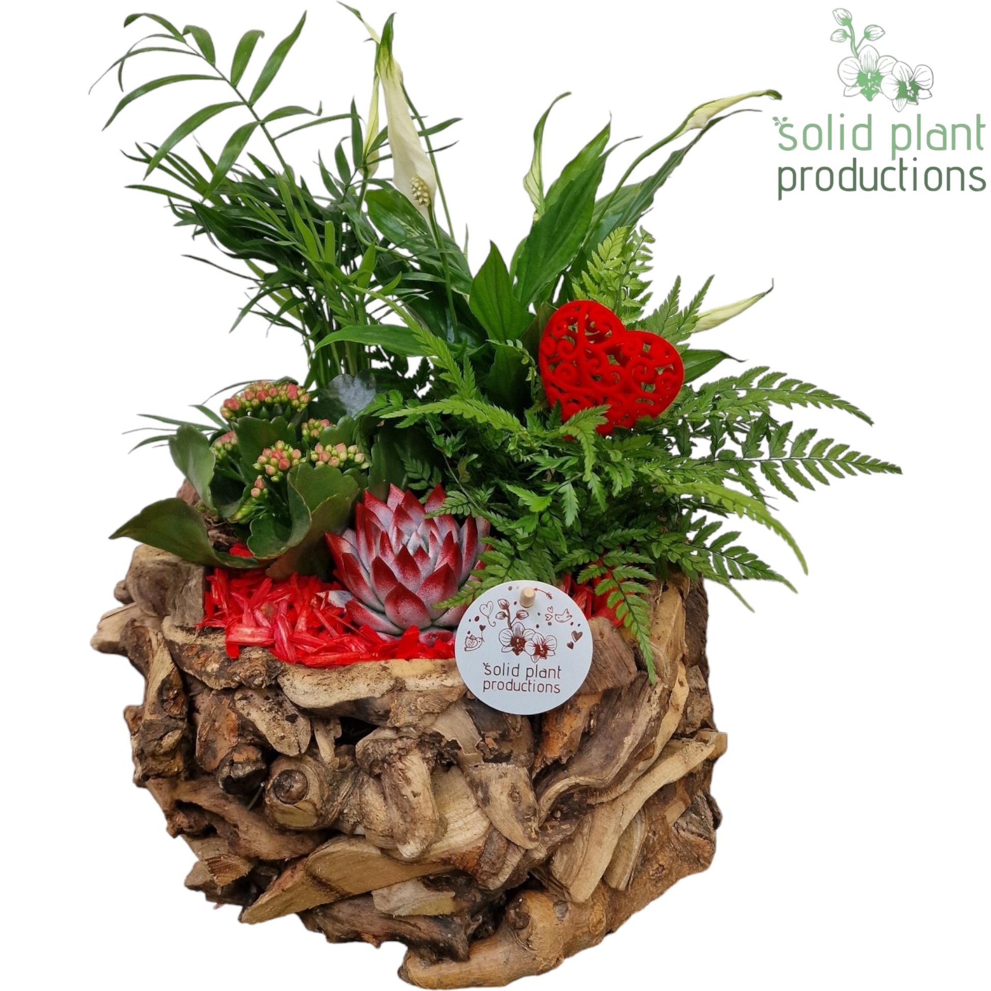 SCE013 Driftwood Round Red Love 45cm 31cm Pot