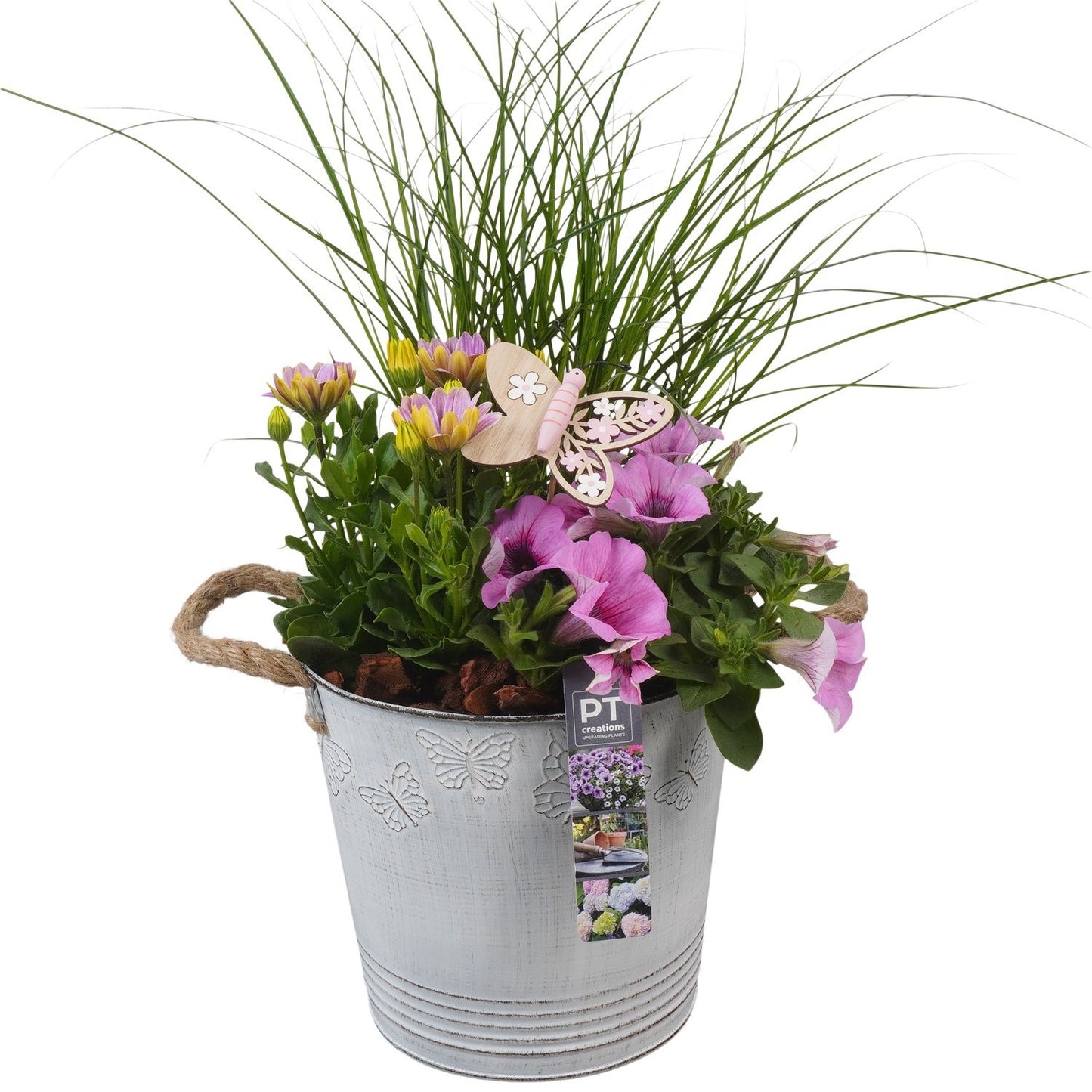 Outdoor arrangement 46cm 19cm Pot