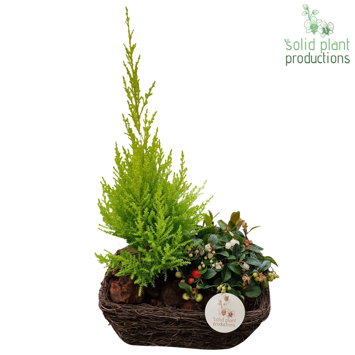 SRSC001 Salim R Small 45cm 24cm Pot
