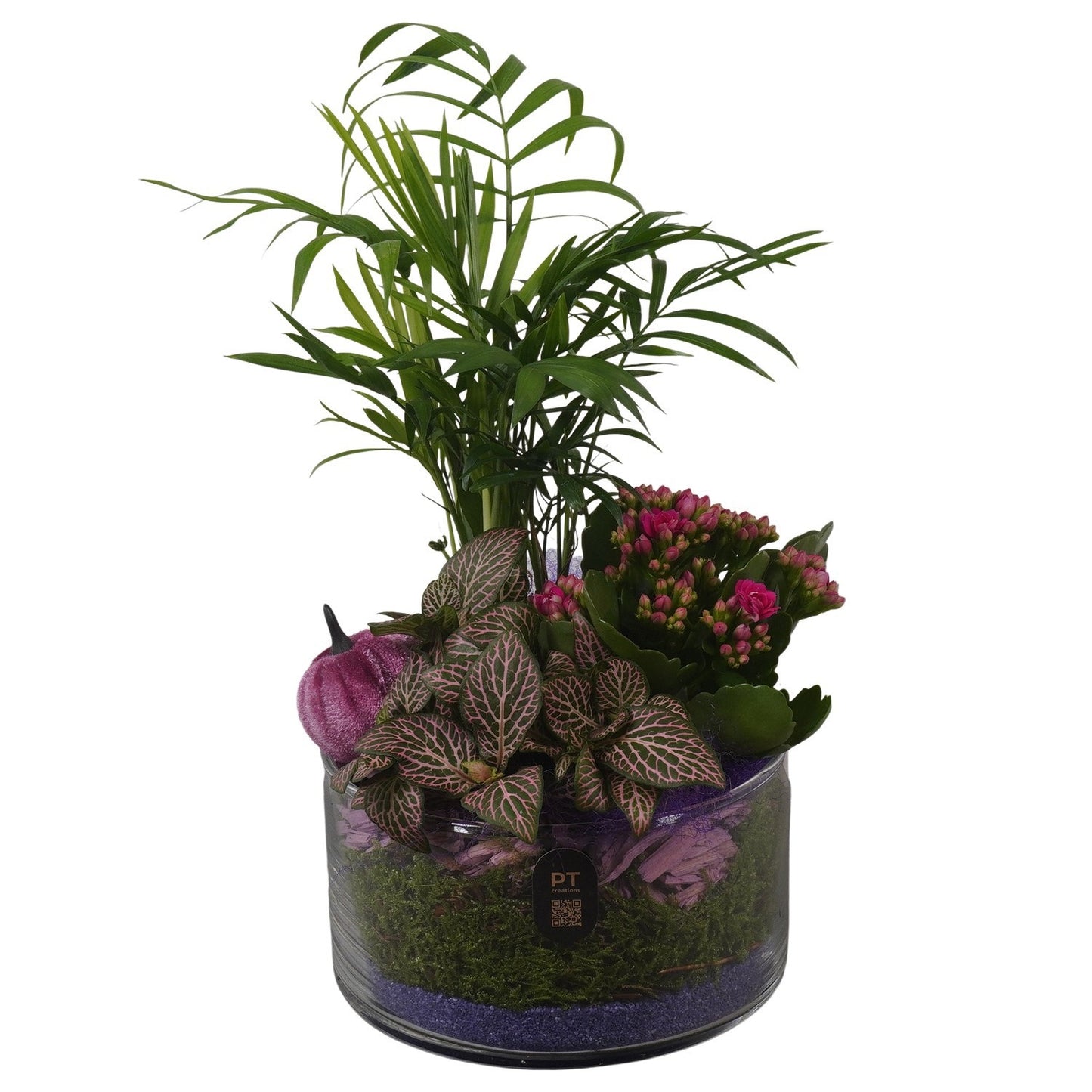Indoor arrangement 33cm 15cm Pot